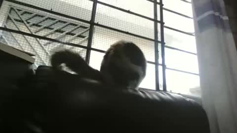 dickeduardo online show from March 29, 2026, 10:32 pm