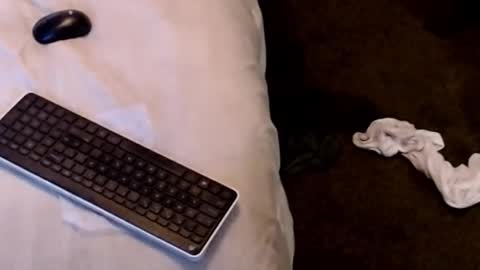 Sparkx online show from December 22, 2025, 4:31 am