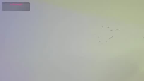 Snapshot of dickgriffith chatting on October 17, 2025, 2:19 pm Dick Griffith online show from October 17, 2025, 2:19 pm