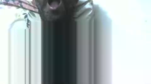 dick rus online show from January 9, 2026, 5:37 pm