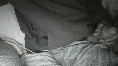 dick online show from January 10, 2025, 11:33 am