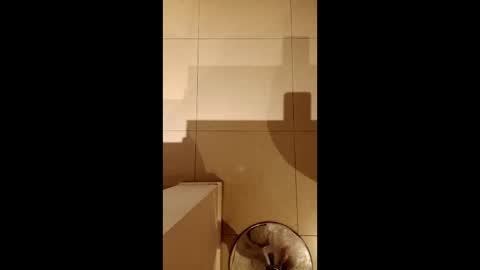 Snapshot of diegomoreno19 chatting on February 21, 2026, 10:33 pm Diego online show from February 21, 2026, 10:33 pm