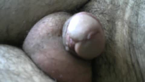 Bob online show from January 11, 2025, 8:33 am