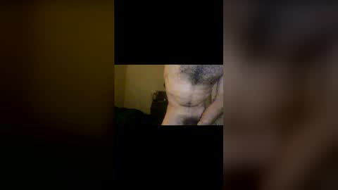 Snapshot of dinglerdingler chatting on February 12, 2026, 3:23 am Dingler online show from February 12, 2026, 3:23 am