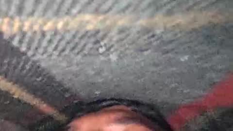 Snapshot of dino_7711 chatting on December 17, 2025, 7:42 pm dyno online show from December 17, 2025, 7:42 pm