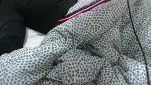 Snapshot of dirfocus chatting on February 3, 2026, 11:48 am Z online show from February 3, 2026, 11:48 am