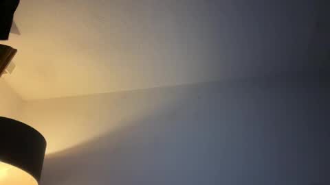 Snapshot of dirtybastard81 chatting on November 25, 2025, 1:49 am Jan online show from November 25, 2025, 1:49 am