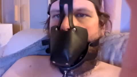 Snapshot of dirtydogsday chatting on January 15, 2025, 6:40 pm Dirtydog online show from January 15, 2025, 6:40 pm