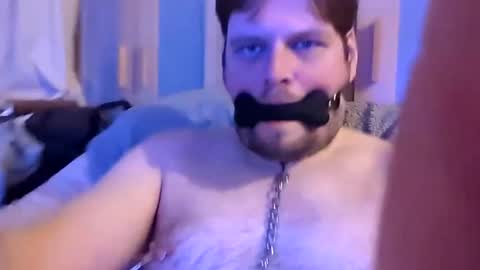 Snapshot of dirtydogsday chatting on February 26, 2025, 10:53 pm Dirtydog online show from February 26, 2025, 10:53 pm