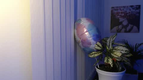 Hera online show from November 26, 2025, 10:05 am