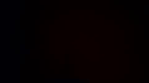 dixiecups4u online show from April 3, 2026, 1:42 pm