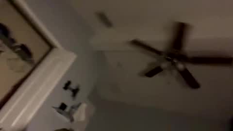 Snapshot of dixnice chatting on February 21, 2026, 7:20 am dixnice online show from February 21, 2026, 7:20 am