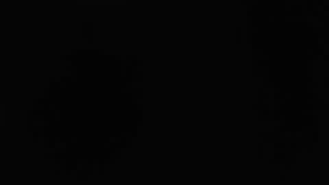 dlt22 online show from April 12, 2026, 10:53 am