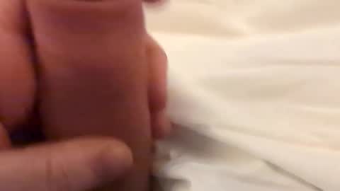 Snapshot of dobson5000 chatting on February 2, 2026, 11:03 pm Bigslick online show from February 2, 2026, 11:03 pm