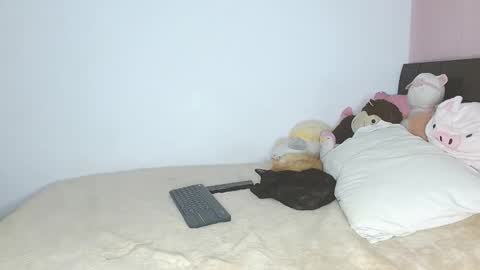 Auro and Santiago online show from January 29, 2025, 4:05 am