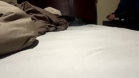 Ben Dover online show from January 17, 2025, 9:17 am