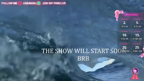 I WILL BE BACK ON WEDNESDAY DECEMBER 4 0100AM COLOMBIA TIME    online show from March 6, 2025, 9:58 am