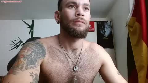 Logan - INDEPENDET MODEL online show from May 11, 2026, 11:57 pm