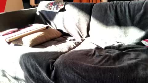 Alfredo online show from December 16, 2024, 11:44 am