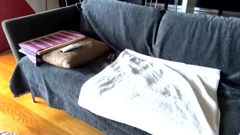 Alfredo online show from February 17, 2025, 9:46 am