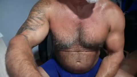 Snapshot of donk566 chatting on July 21, 2026, 12:29 pm donk566 online show from July 21, 2026, 12:29 pm