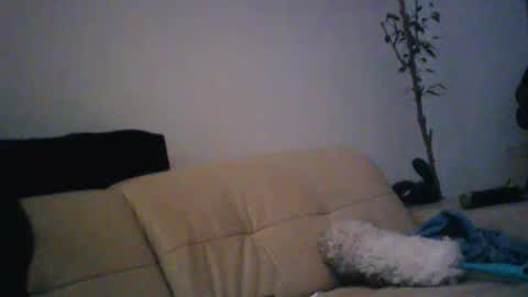 Snapshot of donosus chatting on January 18, 2026, 1:31 am donosus online show from January 18, 2026, 1:31 am