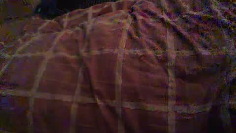 Hello  welcome to Slutsville  I am the Naked Chef  really  but you may call me Peter online show from October 26, 2025, 10:54 am