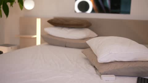    .         . online show from December 5, 2025, 8:01 am