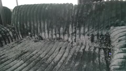 Snapshot of drayanicole1 chatting on March 9, 2025, 11:25 am Draya Nicole online show from March 9, 2025, 11:25 am