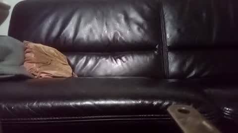 Snapshot of drbretholding chatting on February 20, 2025, 3:56 am Carsten Tenberg online show from February 20, 2025, 3:56 am