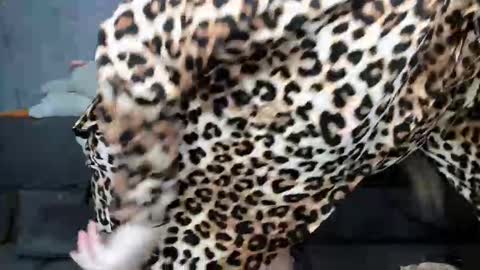 Snapshot of dreamesoul chatting on November 7, 2025, 11:32 am dreamesoul online show from November 7, 2025, 11:32 am