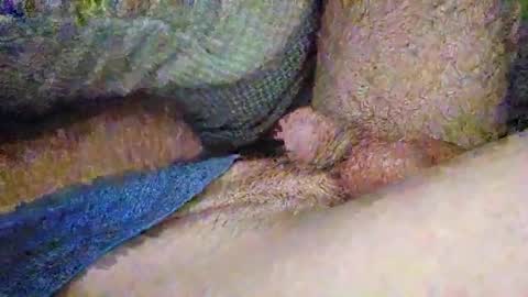 Snapshot of drew8649890274 chatting on November 3, 2025, 3:41 am drew8649890274 online show from November 3, 2025, 3:41 am