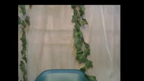 linda online show from October 16, 2025, 1:12 pm