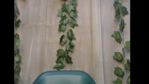 linda online show from November 8, 2025, 1:06 am