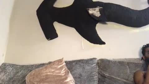 Snapshot of drobbb656 chatting on February 11, 2026, 5:29 pm 2xTheTrouble online show from February 11, 2026, 5:29 pm