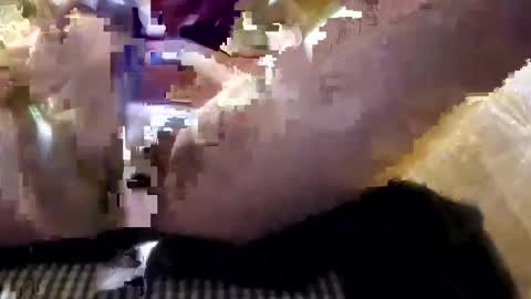 droc1824 online show from October 21, 2025, 6:47 am