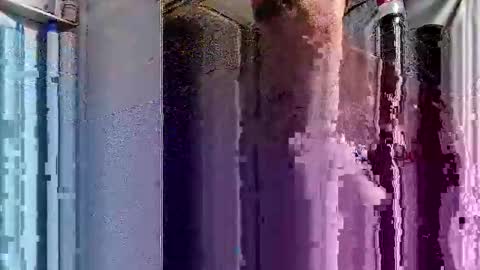 dsmock online show from October 1, 2025, 6:08 am