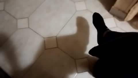 Snapshot of dthedog12 chatting on October 22, 2025, 1:50 am dthedog12 online show from October 22, 2025, 1:50 am