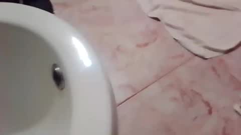 Snapshot of dthedog12 chatting on November 21, 2025, 11:58 pm dthedog12 online show from November 21, 2025, 11:58 pm