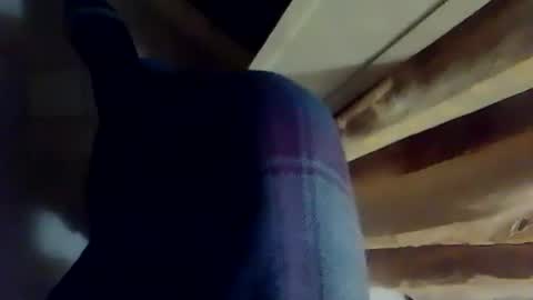 Snapshot of dthedog12 chatting on December 3, 2025, 10:41 pm dthedog12 online show from December 3, 2025, 10:41 pm