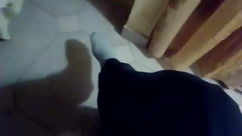 Snapshot of dthedog12 chatting on December 13, 2025, 9:42 pm dthedog12 online show from December 13, 2025, 9:42 pm