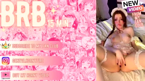 Geneva online show from December 15, 2024, 2:05 pm