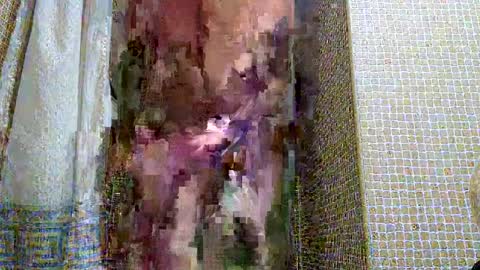 dublindub12 online show from March 2, 2025, 10:03 am