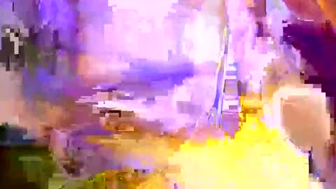 Snapshot of duh541228490531 chatting on February 26, 2025, 5:09 am nomadjon online show from February 26, 2025, 5:09 am