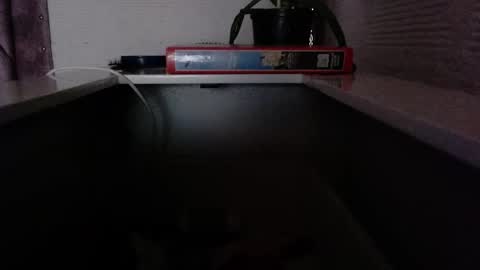 Snapshot of dulce_smith02 chatting on November 24, 2025, 5:23 pm dulce_smith02 online show from November 24, 2025, 5:23 pm