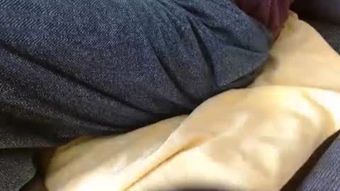 dunany101 online show from February 25, 2026, 4:05 pm