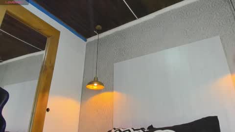 Snapshot of dusan_grey chatting on February 14, 2026, 6:43 am DUSAN GREY online show from February 14, 2026, 6:43 am