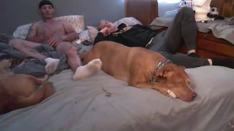 dustinwyant1983 online show from November 8, 2025, 7:12 pm