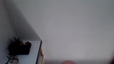 dutchbandito online show from April 8, 2026, 10:59 am