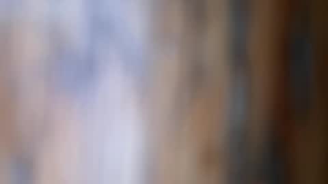 Snapshot of dvelope chatting on November 26, 2025, 9:54 am dVe1oPe online show from November 26, 2025, 9:54 am